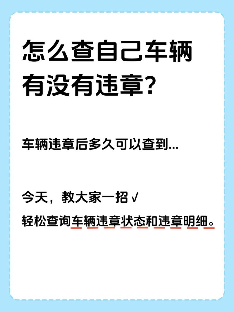 不是本人机动车怎么查违章/不是本人车怎么查询车辆违章
