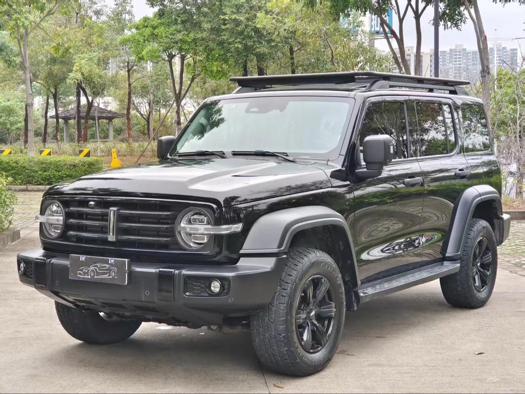 长城tk300汽车价格图片(长城t300报价及图片2021款)