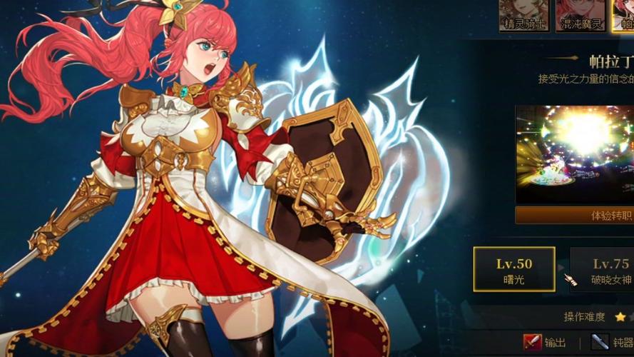 帕拉丁110版本加点(100dnf帕拉丁加点)