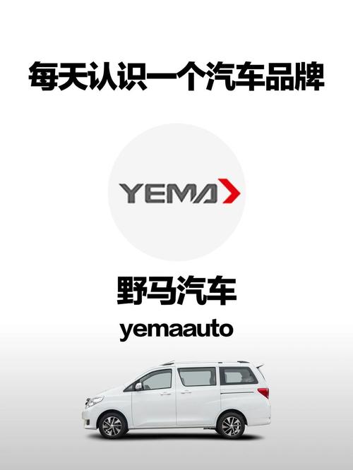 野马汽车是哪个国家的品牌(野马是哪国的品牌汽车？)