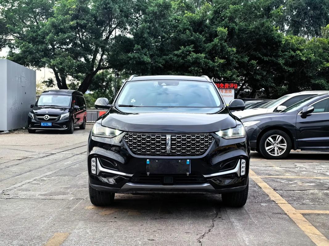 weyvv6报价及图片 wey v6